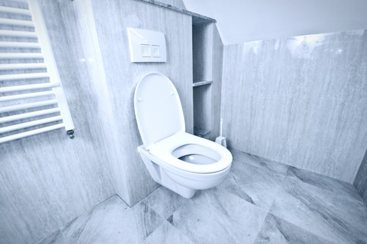 Steps to Take If Your Toilet Is Ghost Flushing